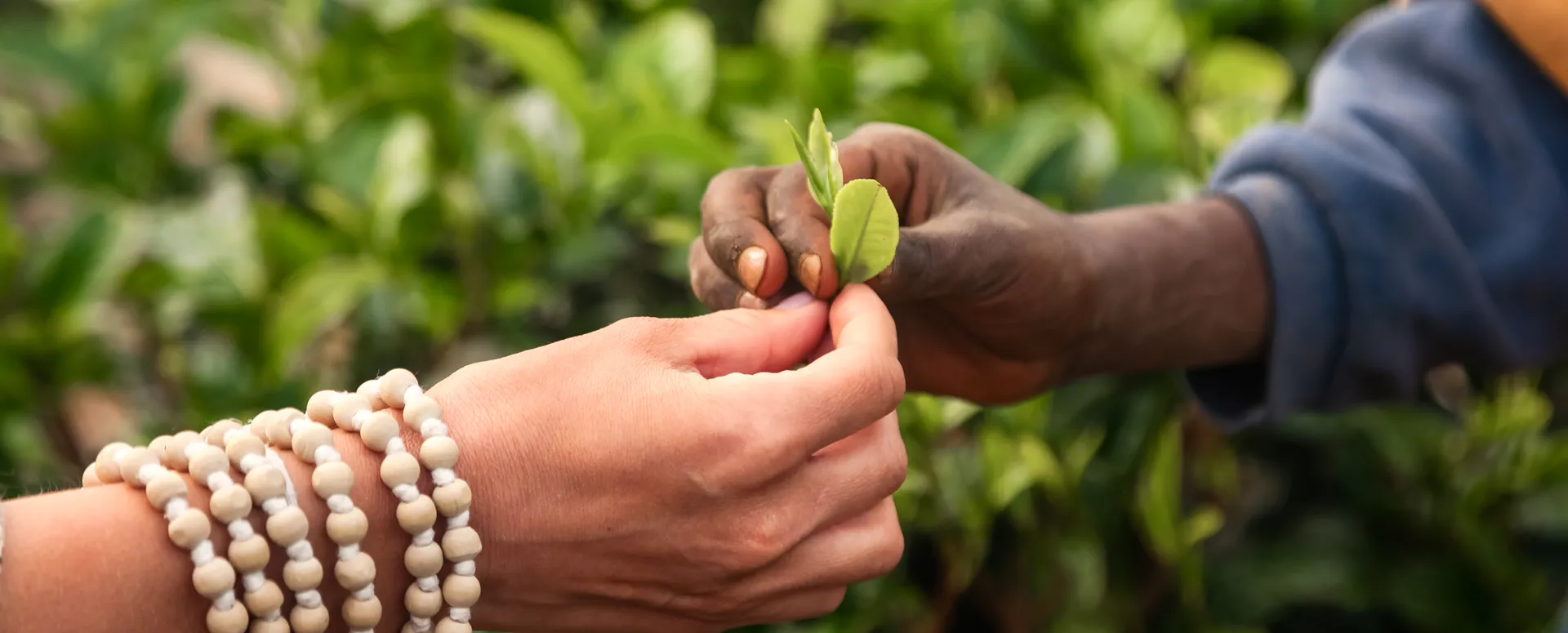 people with a suitcase